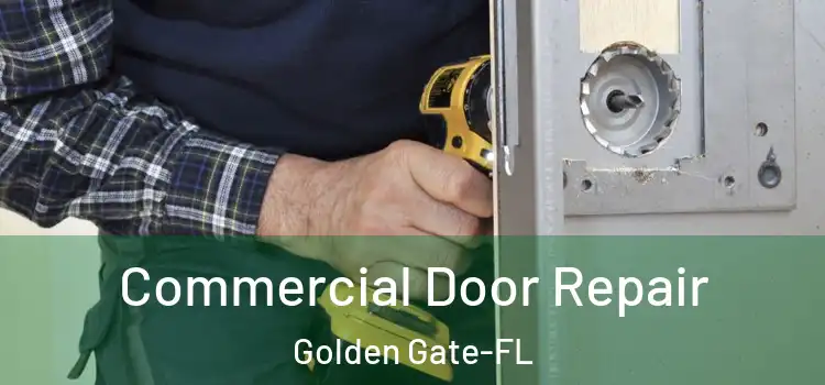 Commercial Door Repair Golden Gate-FL