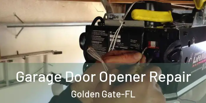 Garage Door Opener Repair Golden Gate-FL