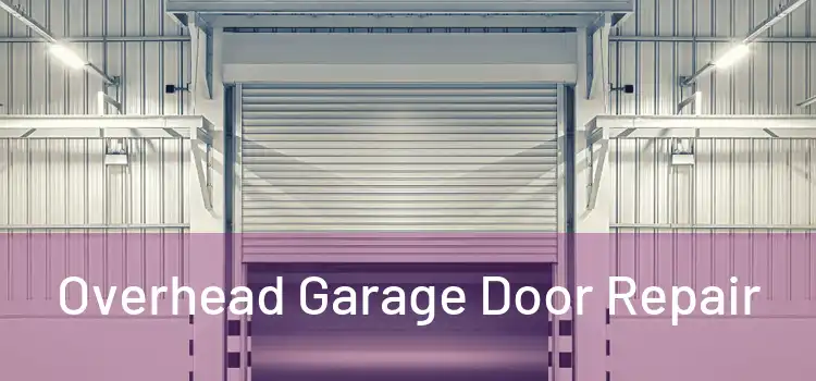  Overhead Garage Door Repair 